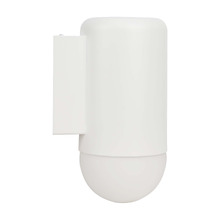 Ivor Frosted Glass Outdoor Wall Light